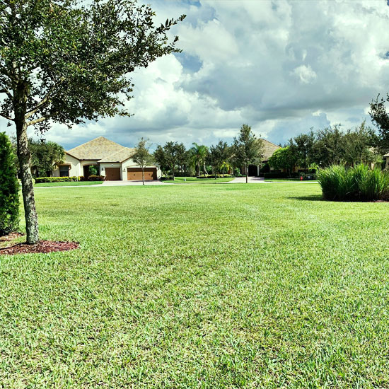 Grass on a community estate