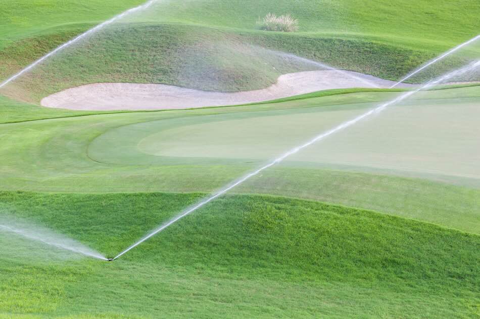 Sprinklers watering system working in fairway and sand bunker of green golf course.