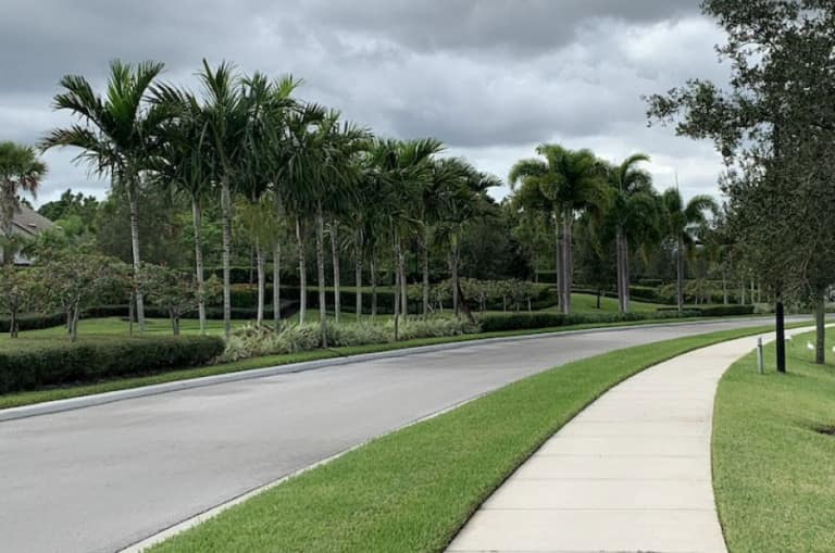 View of a street with pavement alongside a road with palm trees