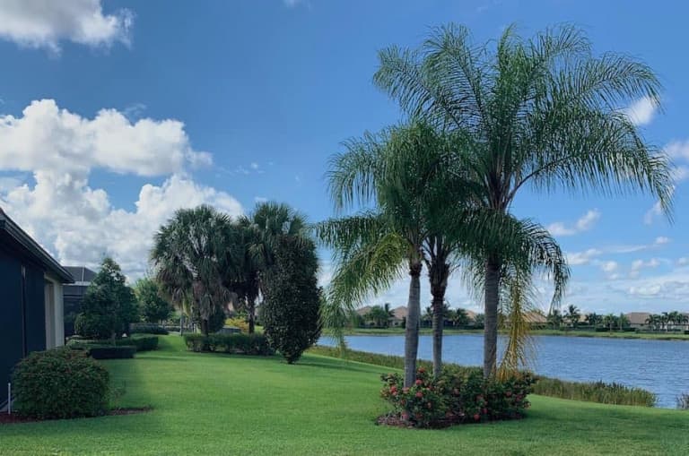 A view of garden in a community housing estate with palm tree and water reservoir