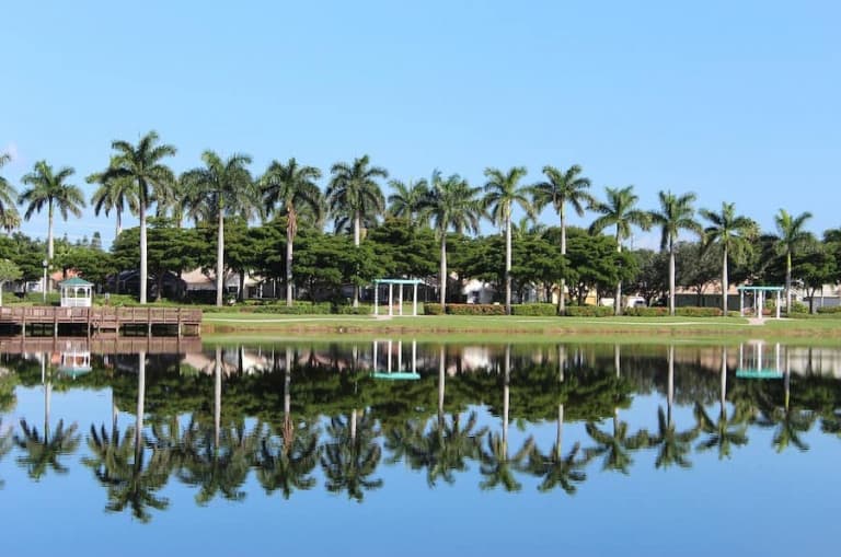 Palm trees in front of a waterfront in a housing community