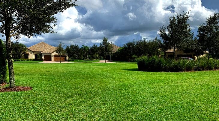 Florida Community with Well Irrigated Landscape