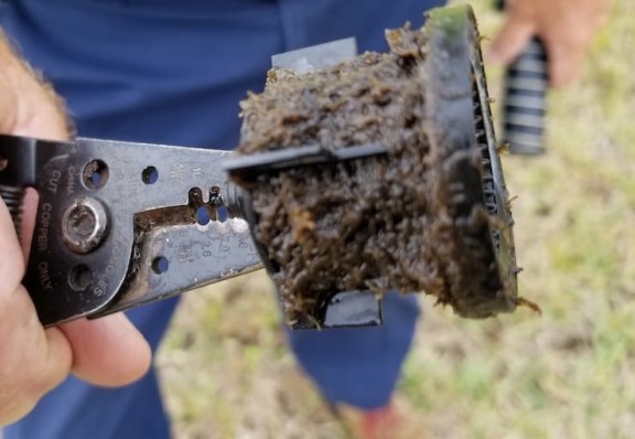 Close up of a man holding a clogged pump filter