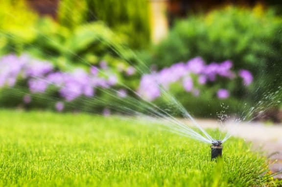 Sprinklers spraying water on a garden with flowers in the background