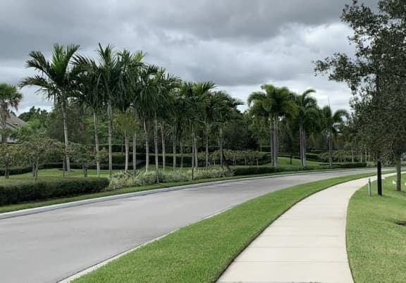 Looking down a road with a pavement to the side and surrounded by trees and greenery