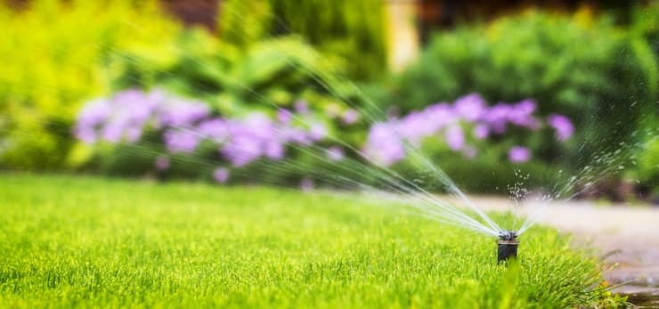 irrigation and healthy plants