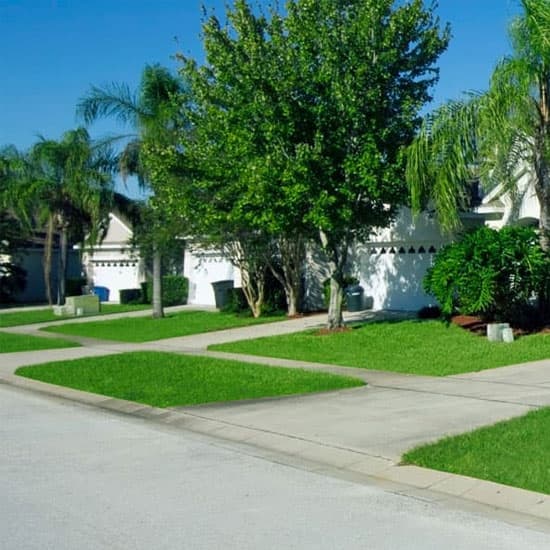 Street view of driveways with trees and grass