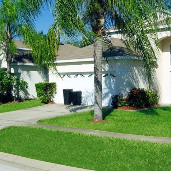 White house with palm trees and grass out the front