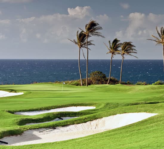 A golf course with palm trees next to the sea