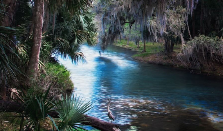 Colour drawing of a river with lots of greenery and trees