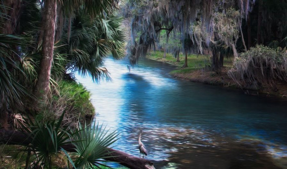 Colour drawing of a river with lots of greenery and trees