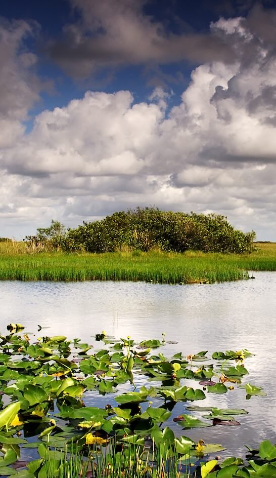 Big Cypress National Preserve