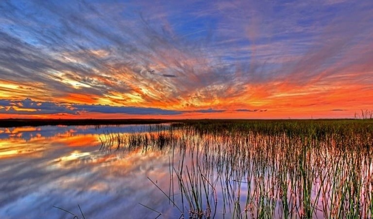 Orange and blue sunset over marsh lands