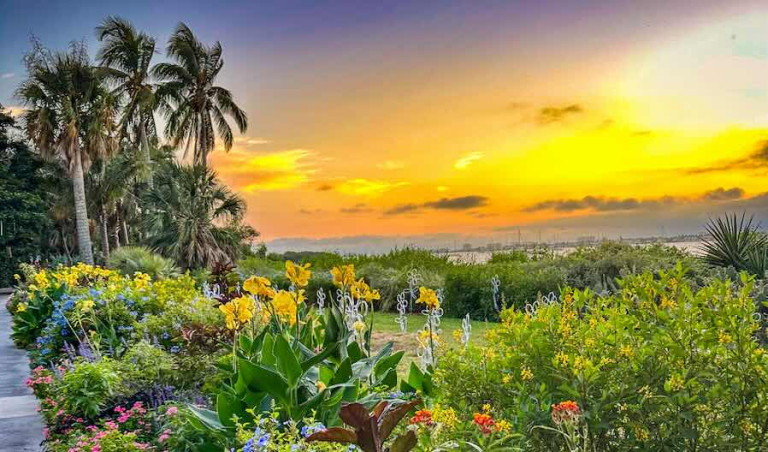 Sunset over a Botanical Gardens full of flowers and palm trees