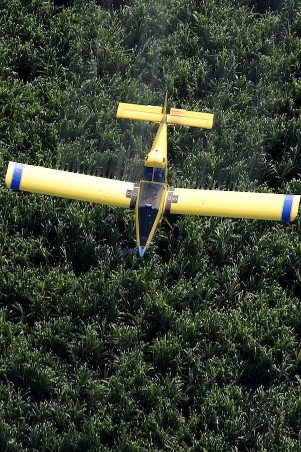 Crop dusting fields in Florida