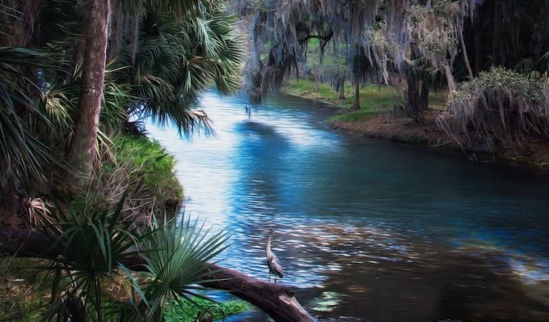 A beautiful painting of a Florida spring