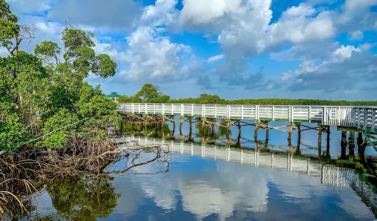 A wooden pedestrian bridge over some swamp land