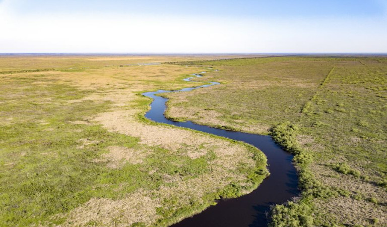 A river meandering through swamp land