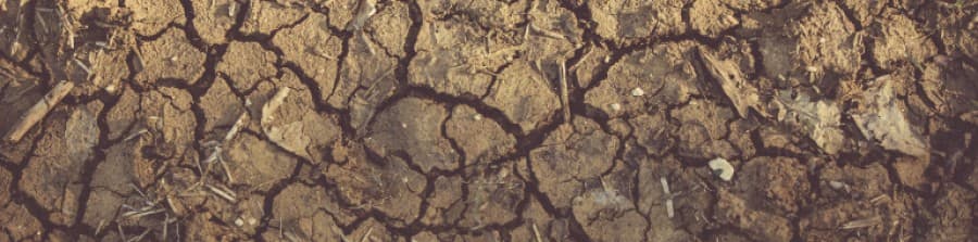 Dry cracking soil