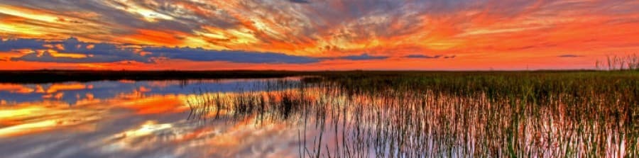 Sunset looking over swamp land