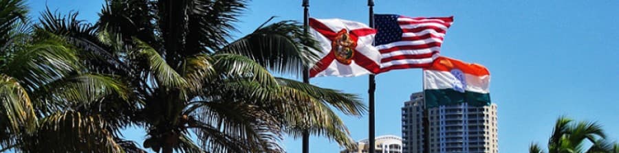 USA flag with blue skies and palm trees