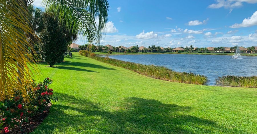 Green grass with palm trees and a water reservoir in the background