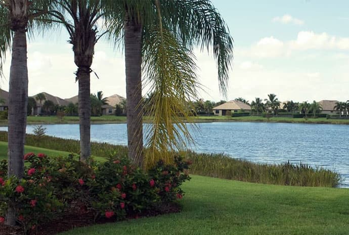 View of the Castellina Community with palm trees and green grass