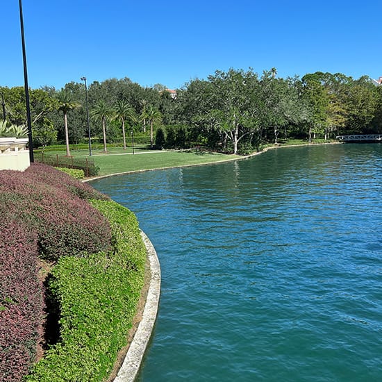 A community water resource with green grass and trees