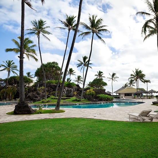 A pool surrounded by palm trees at a holiday resort