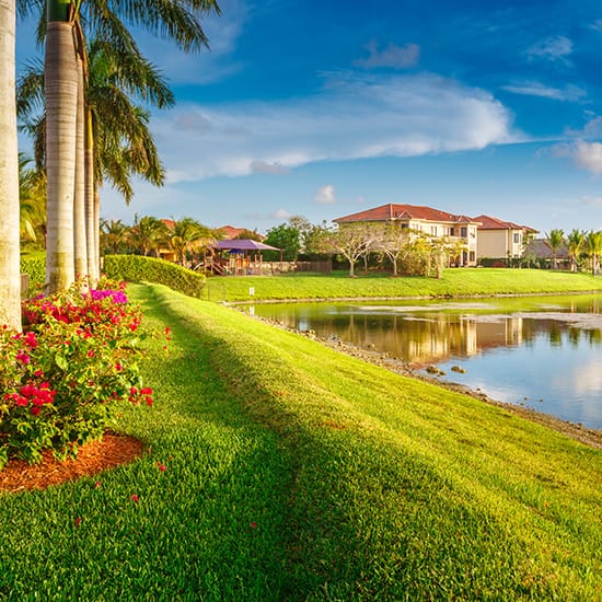 Castellina Community landscape with palm trees and green grass