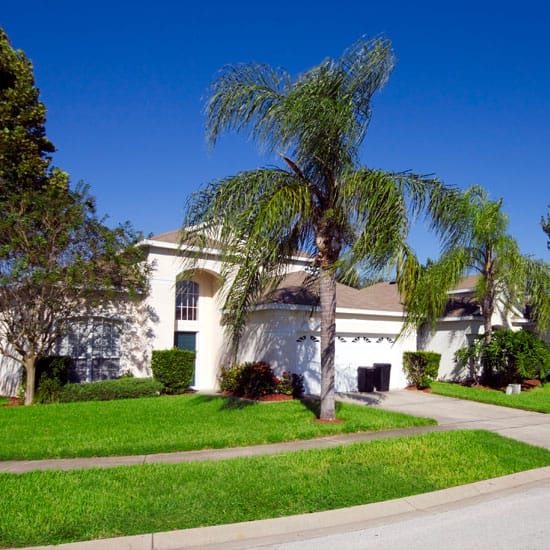 Street view of a house in Florida with grass and palm trees outside