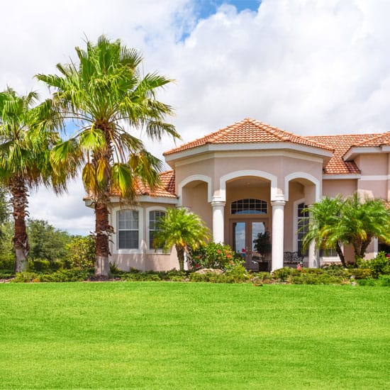 View of the grass in front of a house in Florida