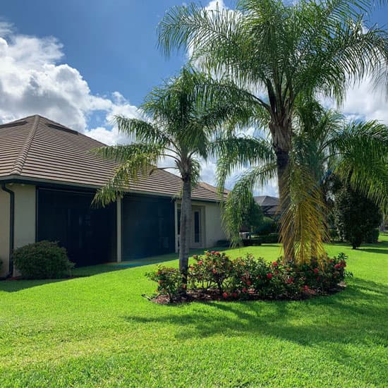 Looking onto the garden grass at the back of a house with palm trees